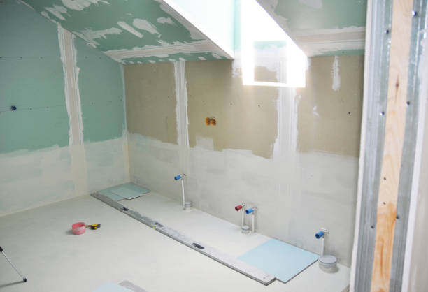 Best Basement Mold Removal  in Prairieville, LA