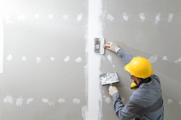 Trusted Prairieville, LA Mold Removal Experts